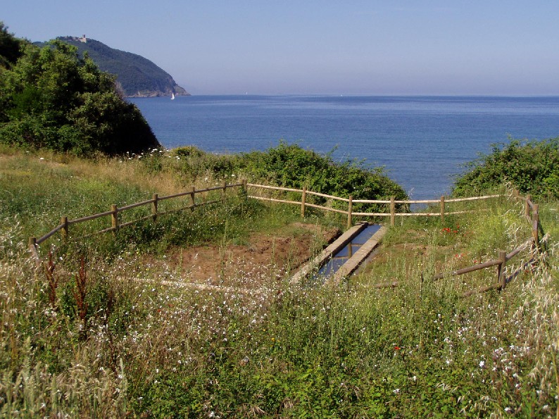 Ripristino di un fontanile a Baratti (Piombino - LI)